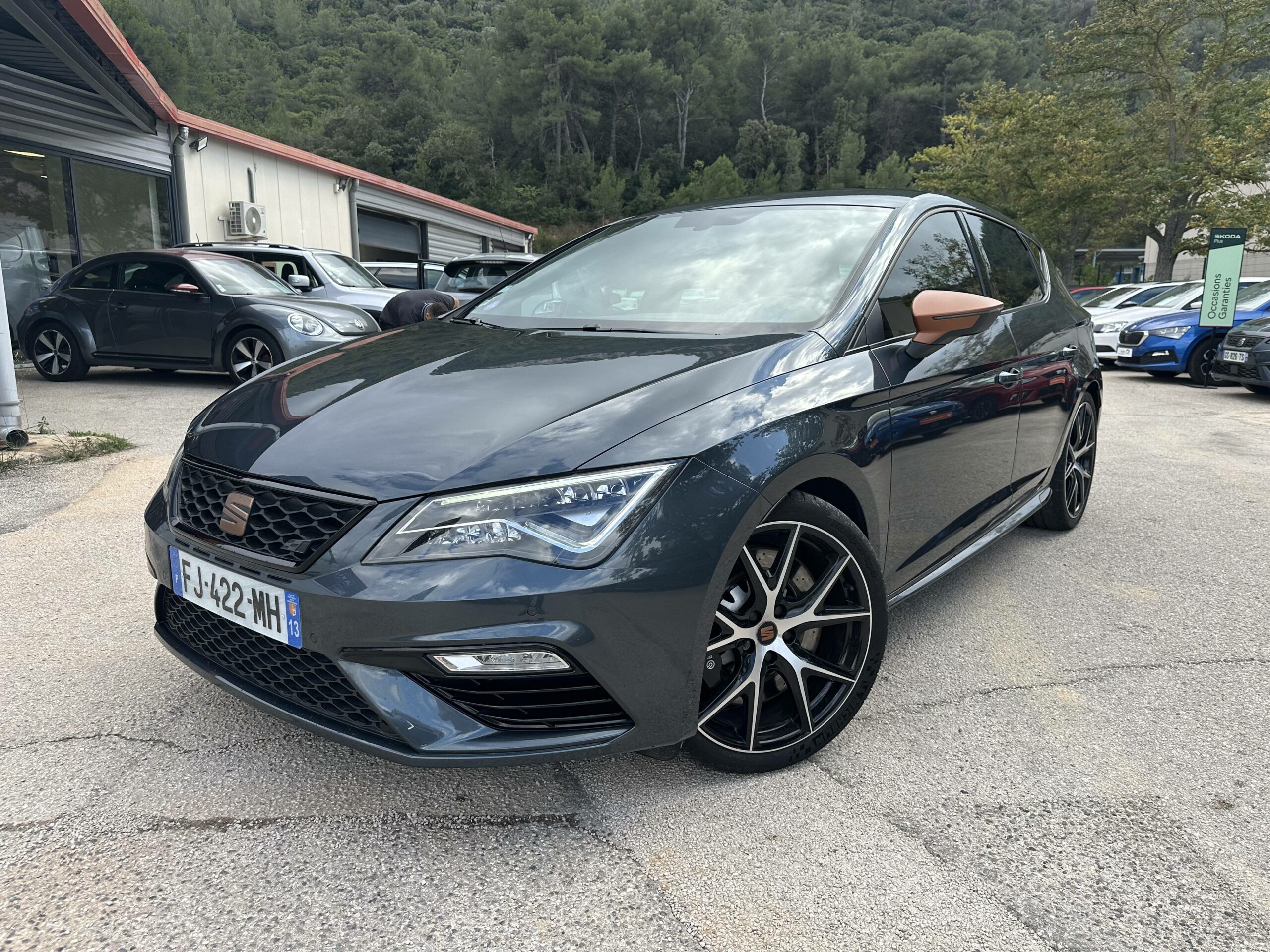 SEAT-LEON III-Leon 2.0 TSI 290 DSG7-Cupra Performance-26990-48130-roure-automobiles