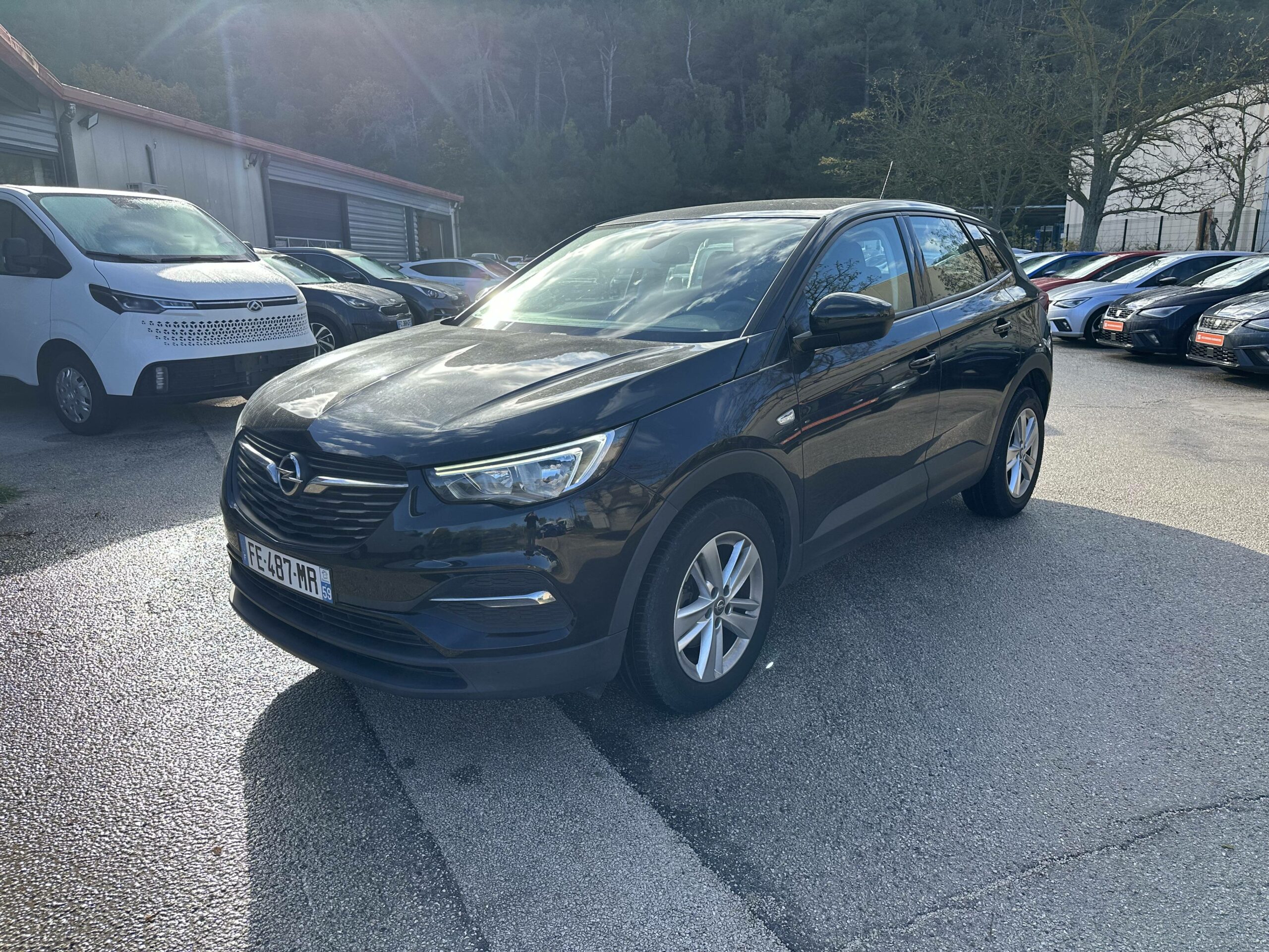 OPEL-GRANDLAND X-Grandland X 1.2 Turbo 130 ch-Edition-13490-34512-roure-automobiles