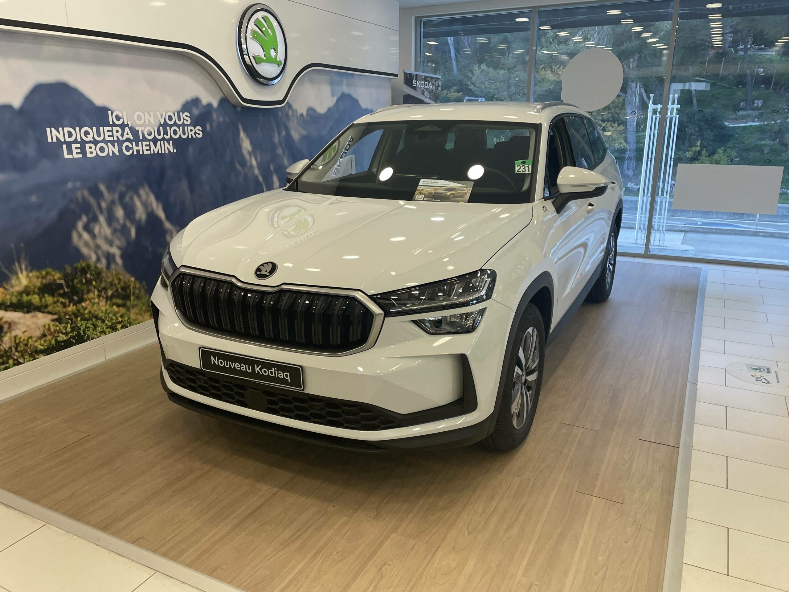 SKODA-KODIAQ II-Kodiaq 2.0 TDI 150 ch SCR DSG7 7pl-Selection-43830-10-roure-automobiles